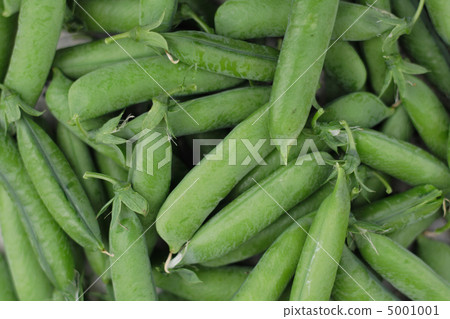 pea background 5001001