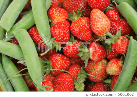 pea and strawberries 5001002