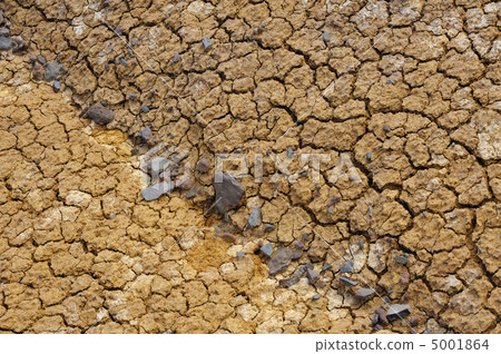 Cracked dry ground texture Cracked dry ground texture 5001864