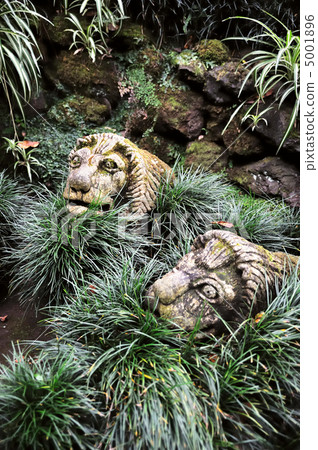growth, lion, ornamental 5001896