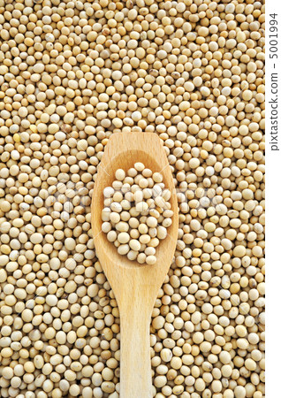 Wooden spoon and dried soybeans 5001994