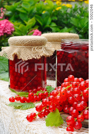 Jars of homemade red currant jam with fresh fruits 5002046