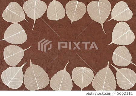 Skeletal leaves over brown handmade paper - frame 5002111