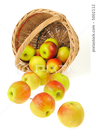 Fresh apples spilling out of basket - isolated on white background. 5002112