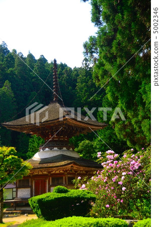 Treasure pagoda of Kanjo Sanjoin where flower of rhododendron blooms Treasure pagoda of Kanjo Sanjoin where flower of rhododendron blooms 5002346