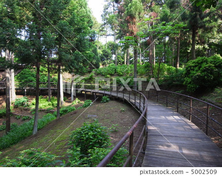 Green road Green road 5002509