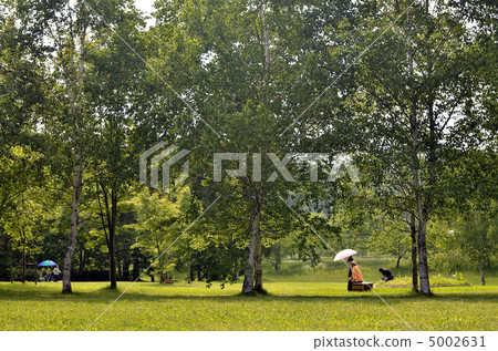 Early summer park 5002631