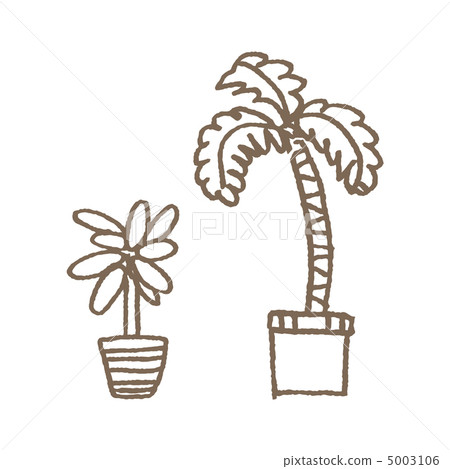 Foliage plant Foliage plant 5003106