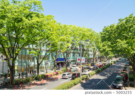 Fresh green Omotesando 5003255