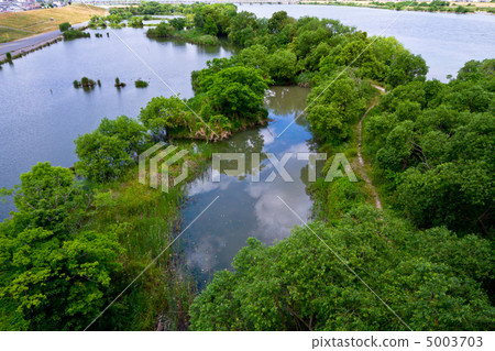 城北魔杖 5003703