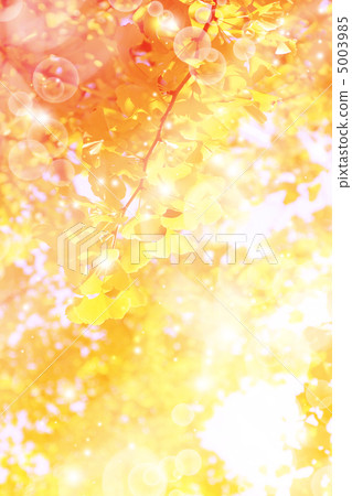 Ginkgo 5003985