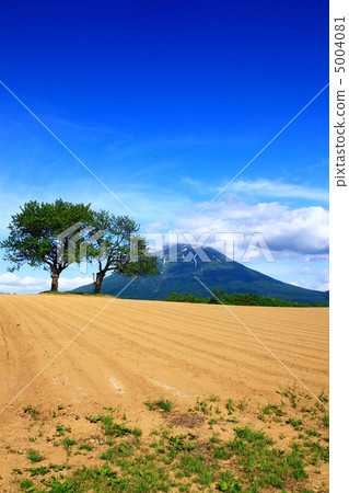 羊蹄山 羊蹄山 5004081