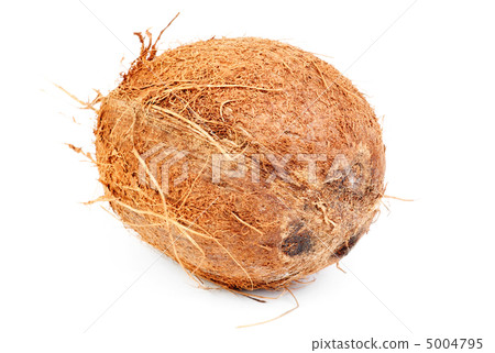 Coconut  isolated  on  white 5004795