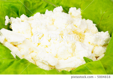 fresh cottage cheese and lettuce  background 5004818