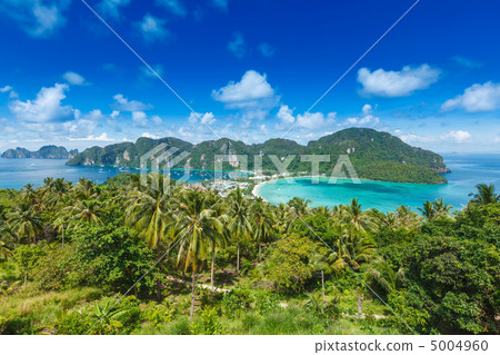 Green tropical island Green tropical island 5004960