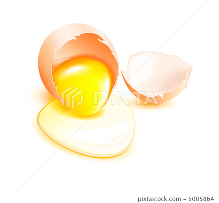 Brown broken egg with flowing yolk on white background. Vector e Brown broken egg with flowing yolk on white background. Vector e 5005864
