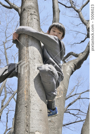 爬樹的男孩 爬樹的男孩 5006023