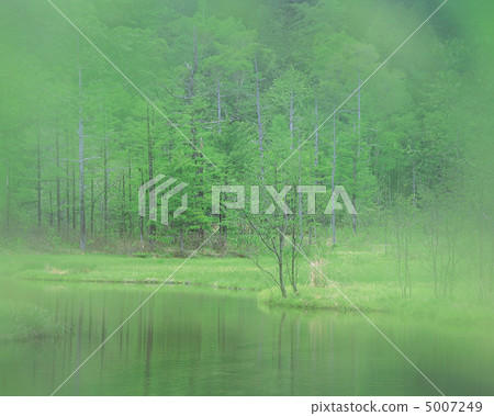 Fresh green season 5007249