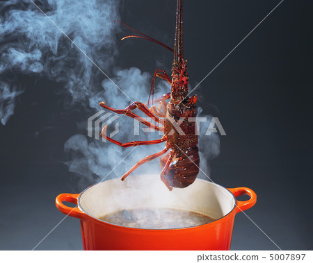 品嚐Hakuraku 5007897