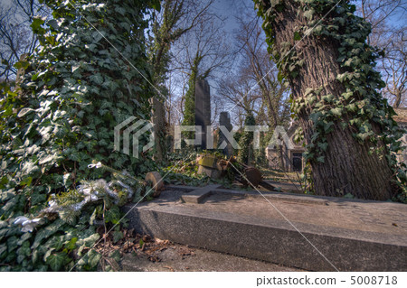 old graveyard in Prag old graveyard in Prag 5008718