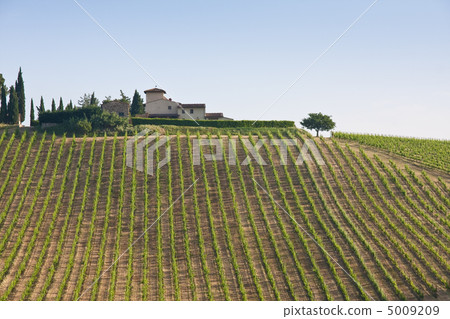 Typical Tuscan landscape 5009209