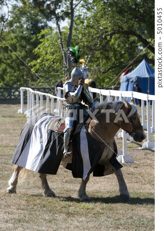 Medieval Knight 5010455