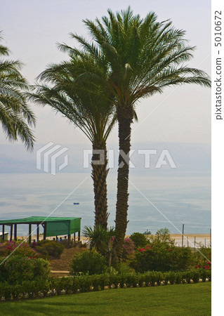 Magnificent park near to center Bahai of religion 5010672