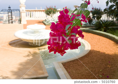 Magnificent park near to center Bahai of religion. Magnificent park near to center Bahai of religion. 5010760