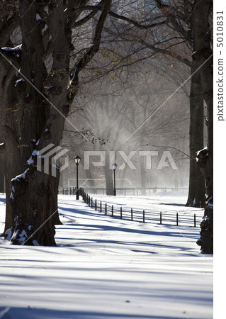 Central Park, New York. Beautiful park in beautiful city. 5010831
