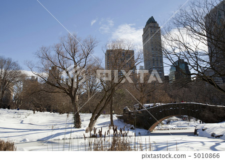 Central Park, New York. Beautiful park in beautiful city. 5010866