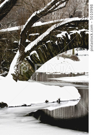 Gapstow Bridge 5010998