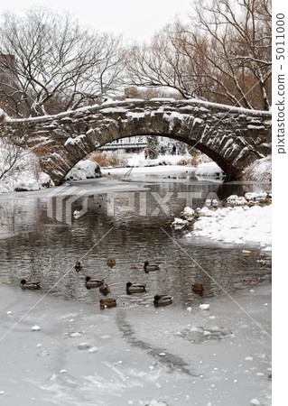 Centtral Park. Gapstow Bridge 5011000