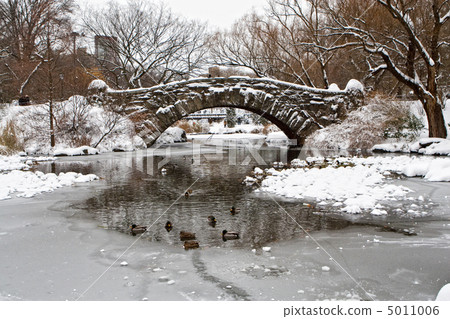 Centtral Park. Gapstow Bridge 5011006