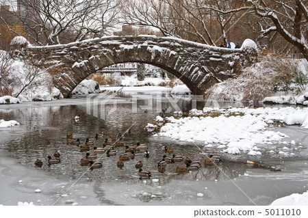 Centtral Park. Gapstow Bridge 5011010