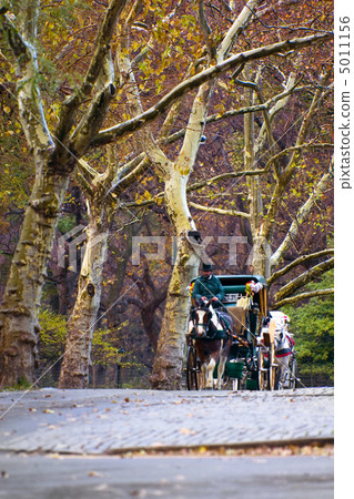 Center Park NY . Beautiful park in beautiful 5011156