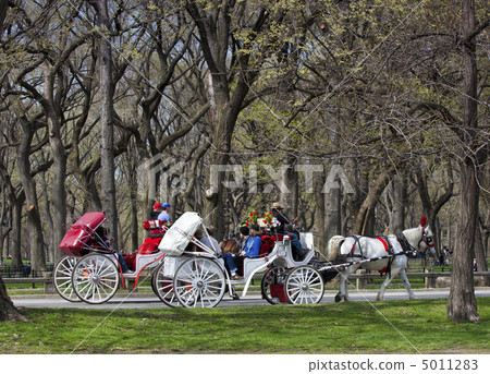 Central Park, New York. 5011283