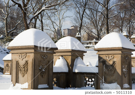 Central Park, New York. Beautiful park in beautiful city. 5011310