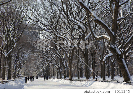 Central Park, New York. Beautiful park in beautiful city. 5011345