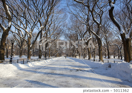 Central Park, New York. Beautiful park in beautiful city. Central Park, New York. Beautiful park in beautiful city. 5011362
