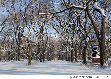 Central Park, New York. Beautiful park in beautiful city. 5011364