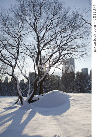 Central Park, New York. Beautiful park in beautiful city. 5011374