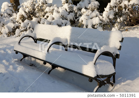 Central Park, New York. Beautiful park in beautiful city. 5011391