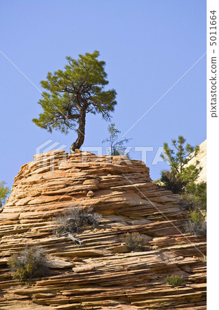 Zion National Park Zion National Park 5011664