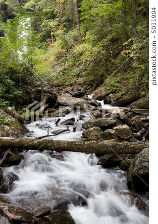 Forest waterfall in Helen Georgia. 5011904