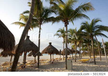 Beautiful Caribbean beach 5013024