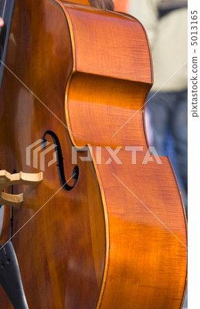 Contrabass 5013165