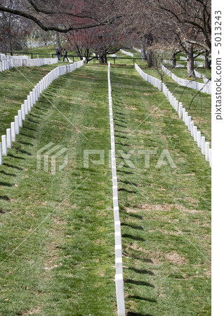Arlington Cemetery. Washington DC Arlington Cemetery. Washington DC 5013243