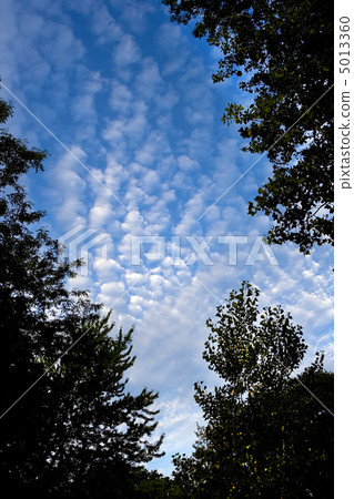 clouds in the blue sky 5013360