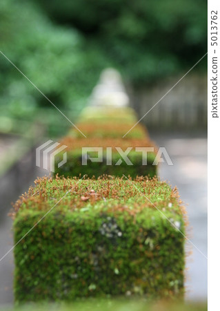 Moss Moss 5013762