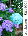 繡球花和淺藍色的傘 5014094